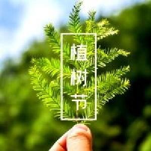 @江陵人，欠钱你听过，欠树你听过吗？快算算，你欠了多少棵树！