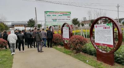 荆州职业技术学院学员到江陵开展实践活动