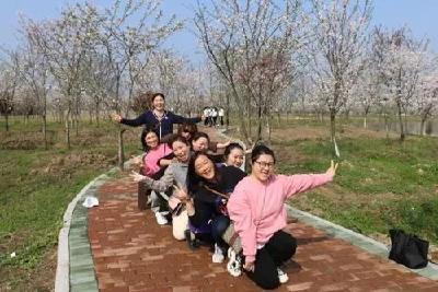 江陵有个“樱花谷”，你去过吗？