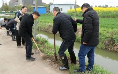 县政数局开展植树活动