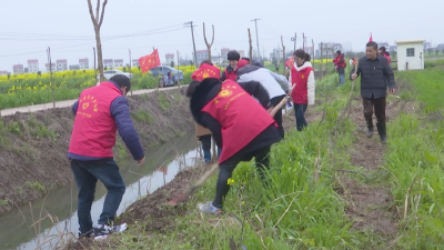 县直单位到秦市乡开展义务植树活动