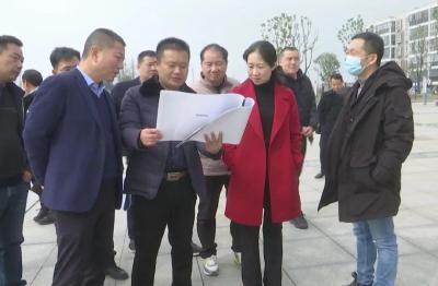 李静芹检查督办全县乡村振兴工作