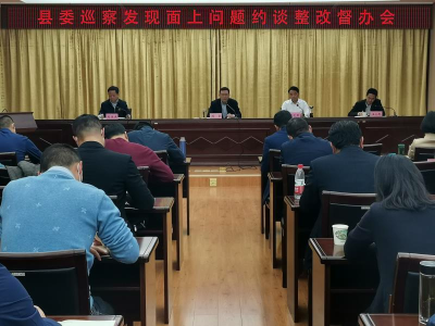 县委召开巡察发现面上共性问题约谈整改督办会