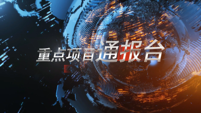 20210329重点项目通报台