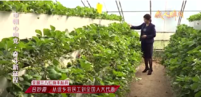 巾帼力量主题 “感人瞬间”微视频展播