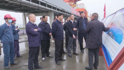 市人大常委会视察江陵长江大保护工作