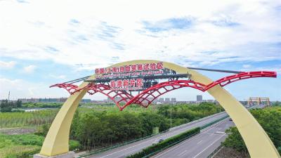 奋斗百年路 启航新征程丨潮起长江口 逐梦新高地——自贸区书写新时代改革开放新篇章