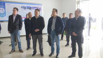 石油和化学工业规划院、湖北省发改委调研荆州江陵绿色能源化工产业园