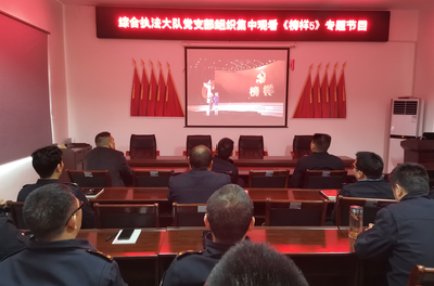 江陵县城管局开展党史学习教育