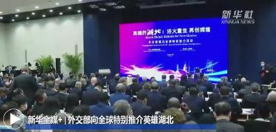 外交部举办湖北全球特别推介活动