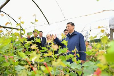 第一观察｜从四组关键词读懂总书记广西行