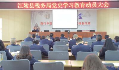 县税务局开展党史学习教育动员大会