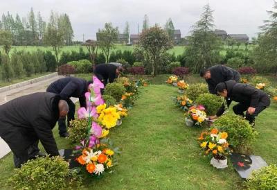 县退役军人事务局组织 “守护.清明祭英烈”系列活动