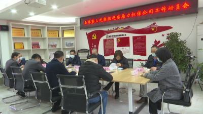 县委第三巡察组进驻湖北鼎力融资担保有限公司开展巡察工作
