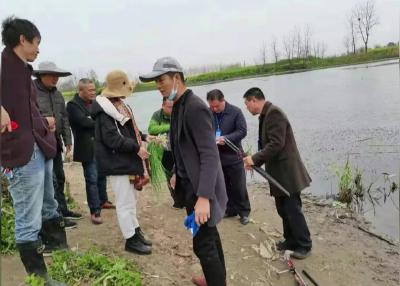 马家寨乡保持打击非法捕捞高压态势