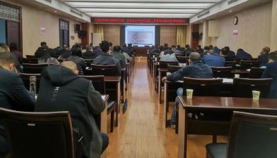 江陵县召开党建引领营商环境、重点企业和项目建设工作暨政务服务事项培训会议