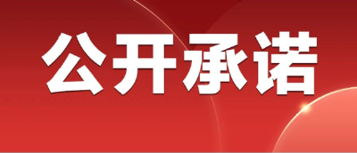 县委书记抓基层党建公开承诺书
