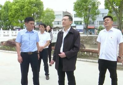刘勇调研营商环境及软弱涣散村党组织整顿工作