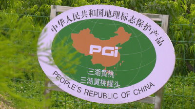 赞！江陵这个地方成国字号重点项目！