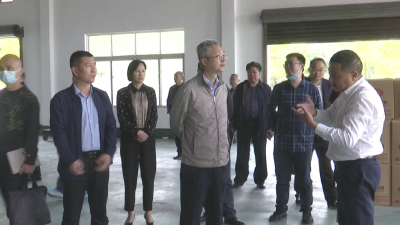 省粮食局副局长李硕调研我县油菜产业发展状况