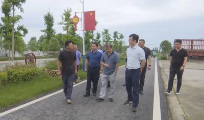 省交通运输厅公路管理局综合督办我县2021年全省公路重点工作