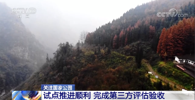 野生动物、热带雨林……第一批国家公园，你期待吗？