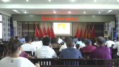 肖吉武到郝穴镇进行党史学习教育宣讲