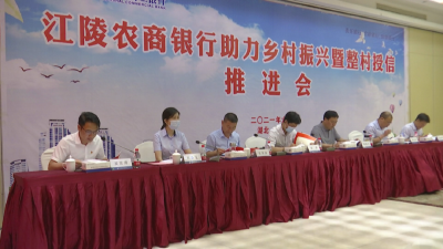 江陵农商银行助力乡村振兴暨整村授信推进会召开
