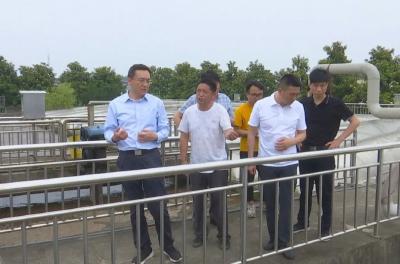 刘勇检查督办长江大保护巡察反馈问题整改工作