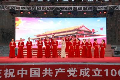 江陵县新时代文明实践党史学习教育志愿服务百日行走进三湖管理区