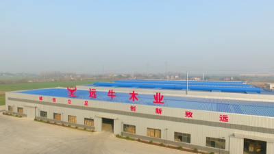江陵区位优势凸显，这个公司2021年产值达到8000万元