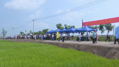 全国高标准农田建设技术培训班学员  到江陵观摩高标准农田建设情况