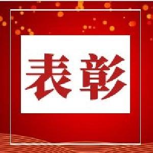 荆州“两优一先”表彰名单出炉！江陵这些名字上榜