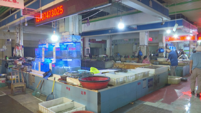 记者探访！江陵鱼价上涨了！原因是…