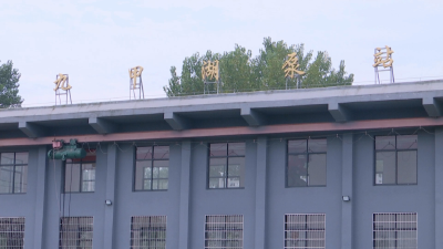 沙岗镇：兴水利 建泵站 旱涝不愁促增收