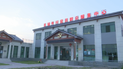 【两优一先】李文：村支书的田园梦