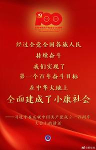 习近平代表党和人民庄严宣告