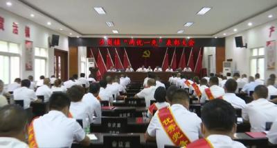 沙岗镇召开“两优一先”表彰会议
