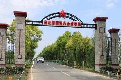 【初心百年恰风华——六合垸建场60周年巡礼】市际“口子镇” 魅力六合垸①
