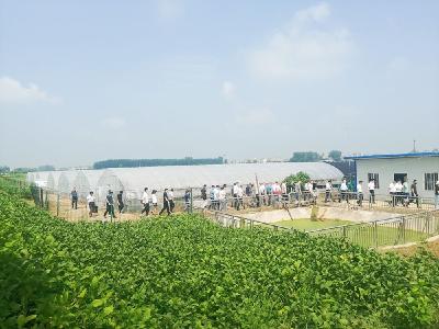 江陵县委组织部开展农村集体经济现场观摩活动 