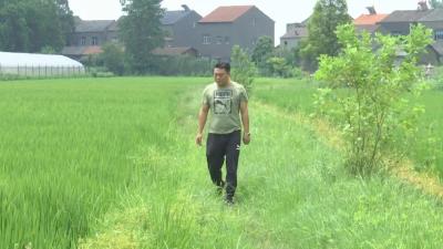 【两优一先】黄毅：建美丽乡村 暖群众心窝