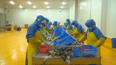 湖北餐虎食品：防疫生产两不误，江陵食品放心吃