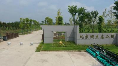 群众“身后事”，彰显大民生！江陵这个地方有个生态公园