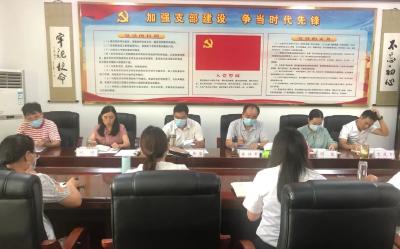 县统计局机关党支部  召开党史学习教育专题组织生活会