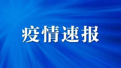 湖北昨日新增本土确诊病例10例