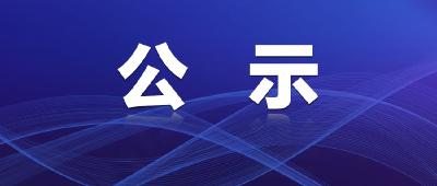 公示