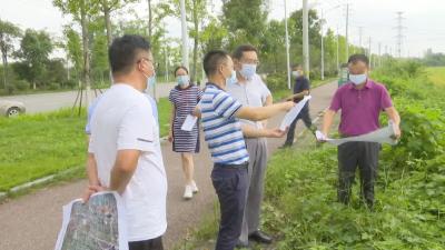 刘勇检查督办全县防汛排涝工作