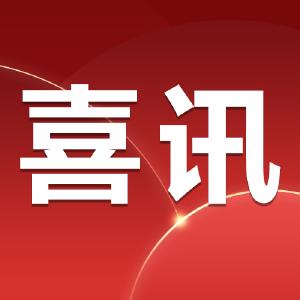 真“神仙打架”！四个奥运冠军争一个全国冠军 