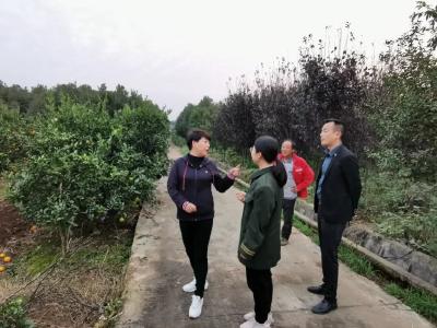 王平娥：以赤子之心抒写乡土大爱