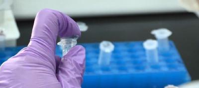 我科学家在国际上首次实现人工合成淀粉 